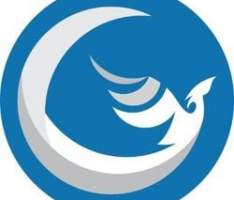 phoenixdefi.finance