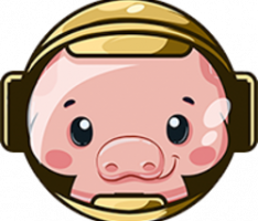 pigtoken.finance