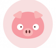 piggyfinance.io