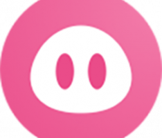 piggy.fi