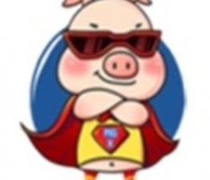 city.pigice.com
