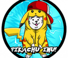 pikachuinu.com