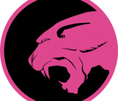 pink-nft.com