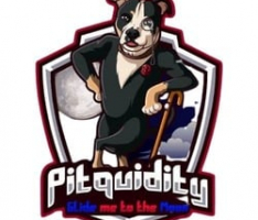 pitquidity.io