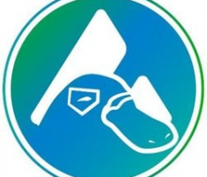 platypus.finance