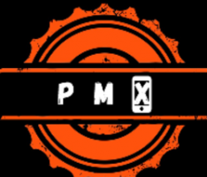 playtomaximize.com