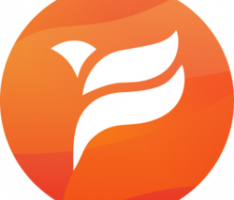 firebirdchain.com