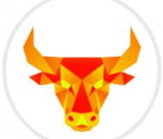 polybull.finance