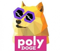 polydoge.com