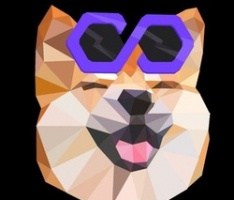 polybabydoge.online