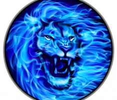 polylion.exchange