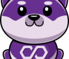 polyshiba.app
