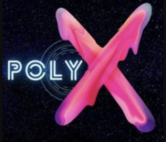 polyxtoken.com