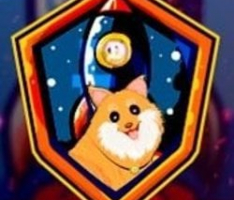 pomerocket.dog