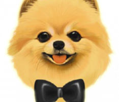 pomicoin.com