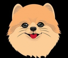 pompomcoin.net