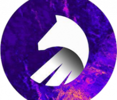 ponyfinance.xyz