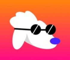 poodltoken.com