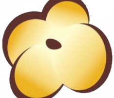 popcorntoken.dev