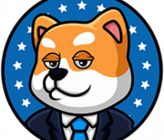 presidentdoge.com