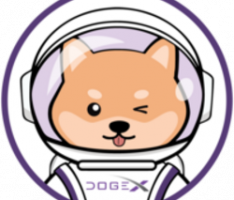 projectdogex.com