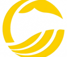 onewhale.net