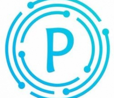 pchain.io