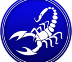 wer-1.io