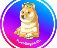 pulsedogecoin.com
