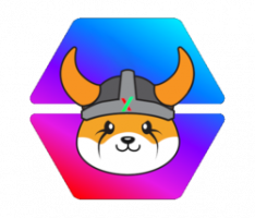 pulsefloki.io