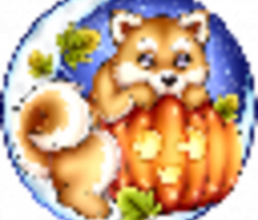 pumpkininu.com