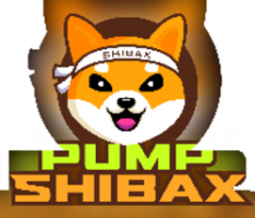 pumpshibax.com