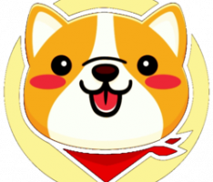 pupdoge.finance