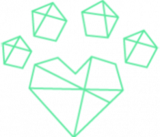 purfectnetwork.io