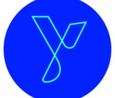 pylon.network