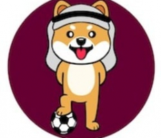 qatarinu.io