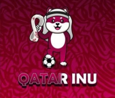 qatarinu.net