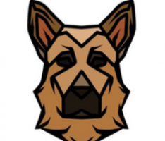 raider.ai