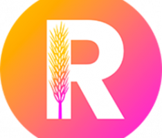rake.finance