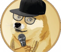rapdoge.com