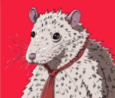 ratrace.city