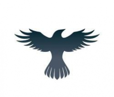 ravenprotocol.com