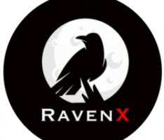 ravenx.finance