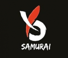 rbxsamurai.com