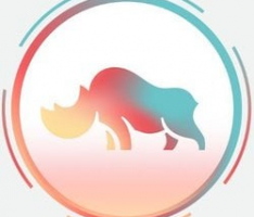 rhino.fi