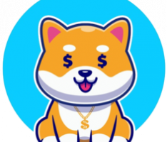 richdoge.net