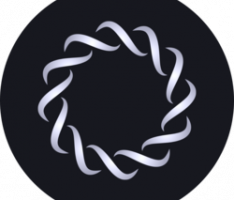 ring.financial