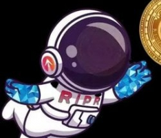 rise2protocol.com