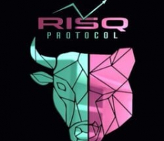risq.capital