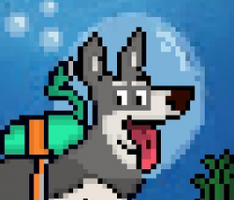 rivrdoge.com